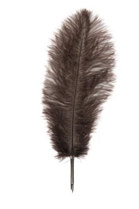 Manuscript Ostrich Quill with Nib - Brown
