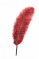 quill-burgundy.jpeg
