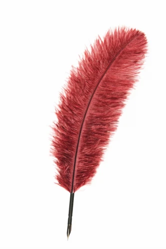 quill-burgundy.jpeg