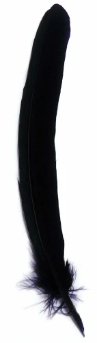 023110T-quill-navyblue.jpg