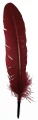 quill-burgund.jpg