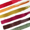 autumn swatches square.png