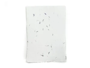 Papier czerpany - A5 bławatek - 1 arkusz
