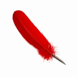 Manuscript Goose Quill with Nib - Red