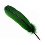 Manuscript Goose Quill with Nib - Green