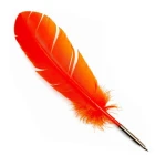 Manuscript Goose Quill with Nib - Orange