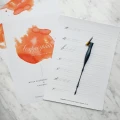 copperplate zeszyt calligrafun