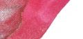 005. apple blossom.PNG