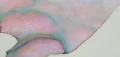 022.JPG