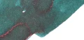 105. forest.PNG