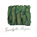 EucalyptusRegnansswatch.png