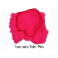 TasmanianRobin_ecb52420-39ea-44a3-b60a-3d06bd88a6a1.webp