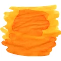 TasmaniawattleYellow.webp