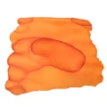 DeciduousBeech.webp