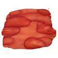 TassieSalmon.webp