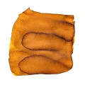 UnderwaterSwatchImageNeptune_sNecklace.webp