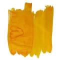 HoneyBeeEaterChin.webp