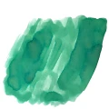 CatNip_eacf07a1-0450-4b82-91e9-041c905a69af.webp