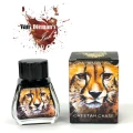 CheetahChase.webp