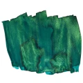 emeraldeyes_8c3a939d-c6e0-476b-9e59-193479bd0a38.webp