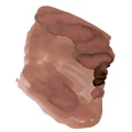 KittenPaws2.webp