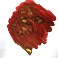 Lion_sRoar_6c86d2ef-19ca-4d8c-b57a-df5fda326148.webp