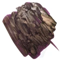 Tortoiseshell_6bc4d33a-4868-4f8b-9006-93f0124c99b1.webp