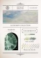 Tusz Dominant Industry - Alchemist Series - Seraphinite
