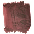 Van-Diemans-Mandarin-Duck-Wing-Ink.webp