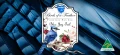 BlueJayTailInk.webp