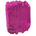 AnnasHummingbirdFaceInk.webp