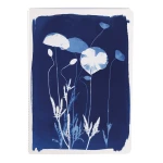Clairefontaine Notebook Cyanotype A5 - 32 lined sheets - assorted patterns