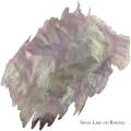 SwanLake2.webp