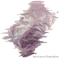 SwanLake1.webp