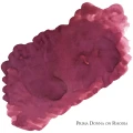 PrimaDonna1.webp