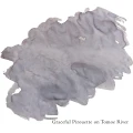 GracefulPirouette1.webp