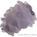 GracefulPirouette2.webp