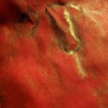 Crescendo3.jpg