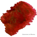 Crescendo1.webp