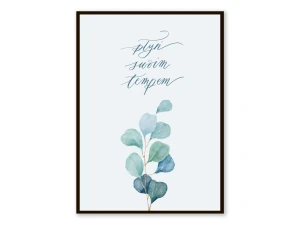 Plakat Płyń swoim tempem