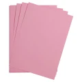 pale-pink-13937.jpg