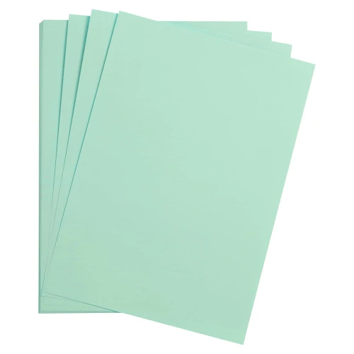 mint-13973.jpg