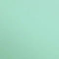 mint-13974.jpg