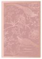 Planer Interdruk Rose Gold