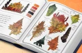 Dominant Industry The Ink Archiving Book - A Log of Atlantis