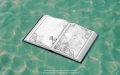 Dominant Industry The Ink Archiving Book - A Log of Atlantis