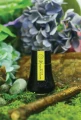 Atrament perfumowany Dominant Industry - Scented Series - Ylang Ylang