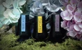 Dominant Industry Ink - Scented Series