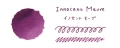 Atrament Teranishi Guitar Haikara 40 ml