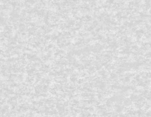 Pergamenata A4 - Bianco 230 g - 5 sheets